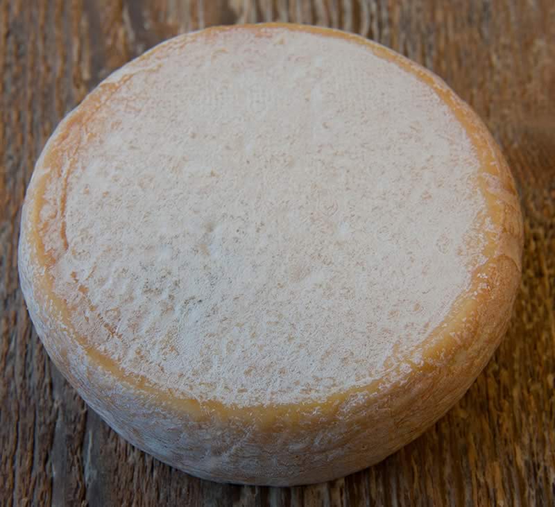 Chevrotin-AOP-Fromage-de-chevre_Page-Le-Fromage_entier-vue-de-dessus