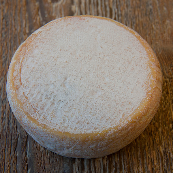 Chevrotin-AOP-Fromage-de-chevre_Page-Le-Fromage_entier-vue-de-dessus